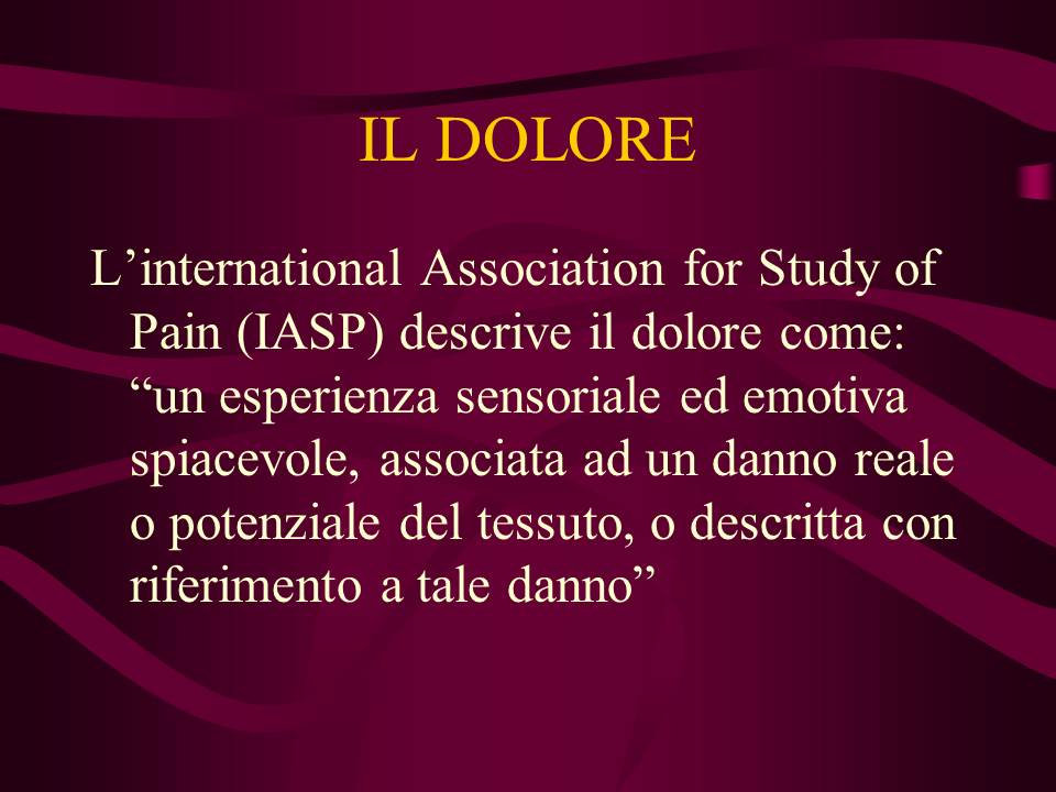 Diapositiva2