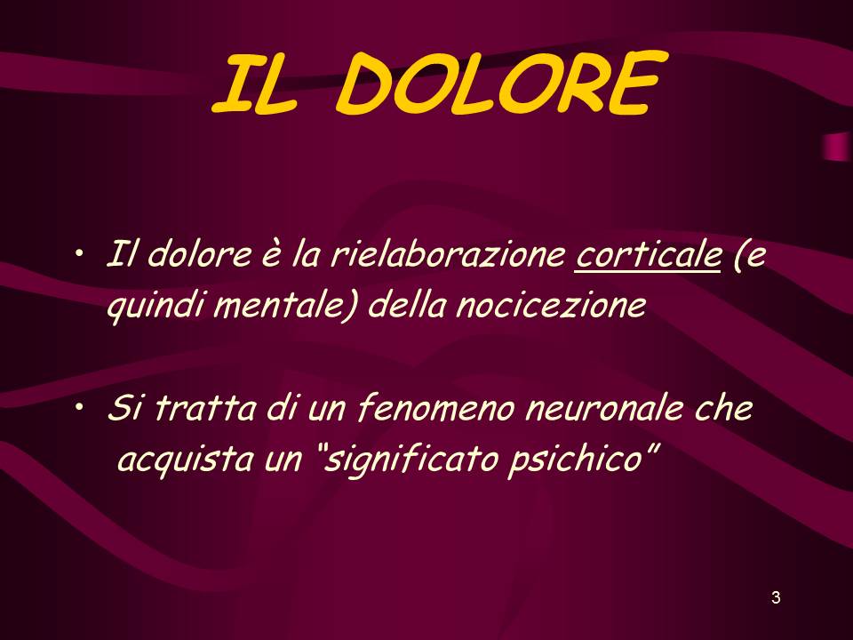 Diapositiva3