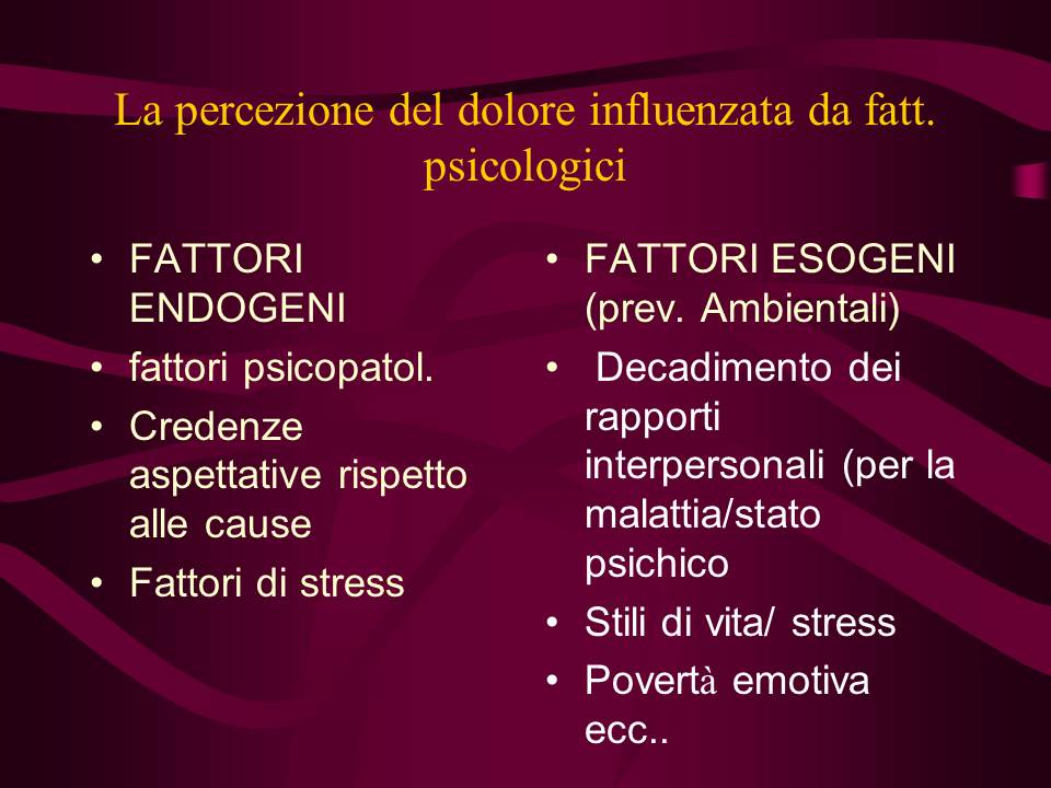 Diapositiva6